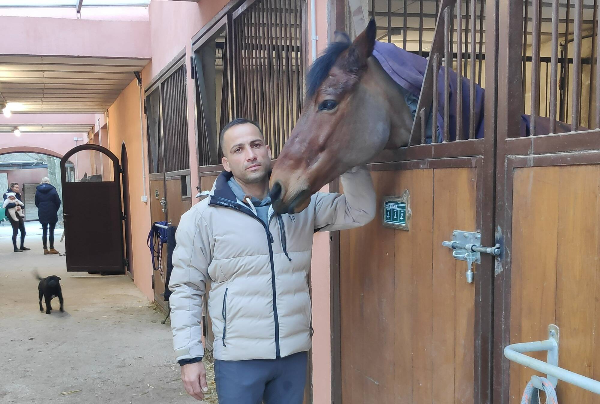 Sinistré de la tempête Alex et sans indemnisation, le cavalier olympique Alexandre Ayache pourrait vendre ses chevaux et mettre fin à sa carrière