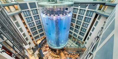 Le plus grand aquarium cylindrique au monde éclate dans un hôtel à Berlin, deux blessés