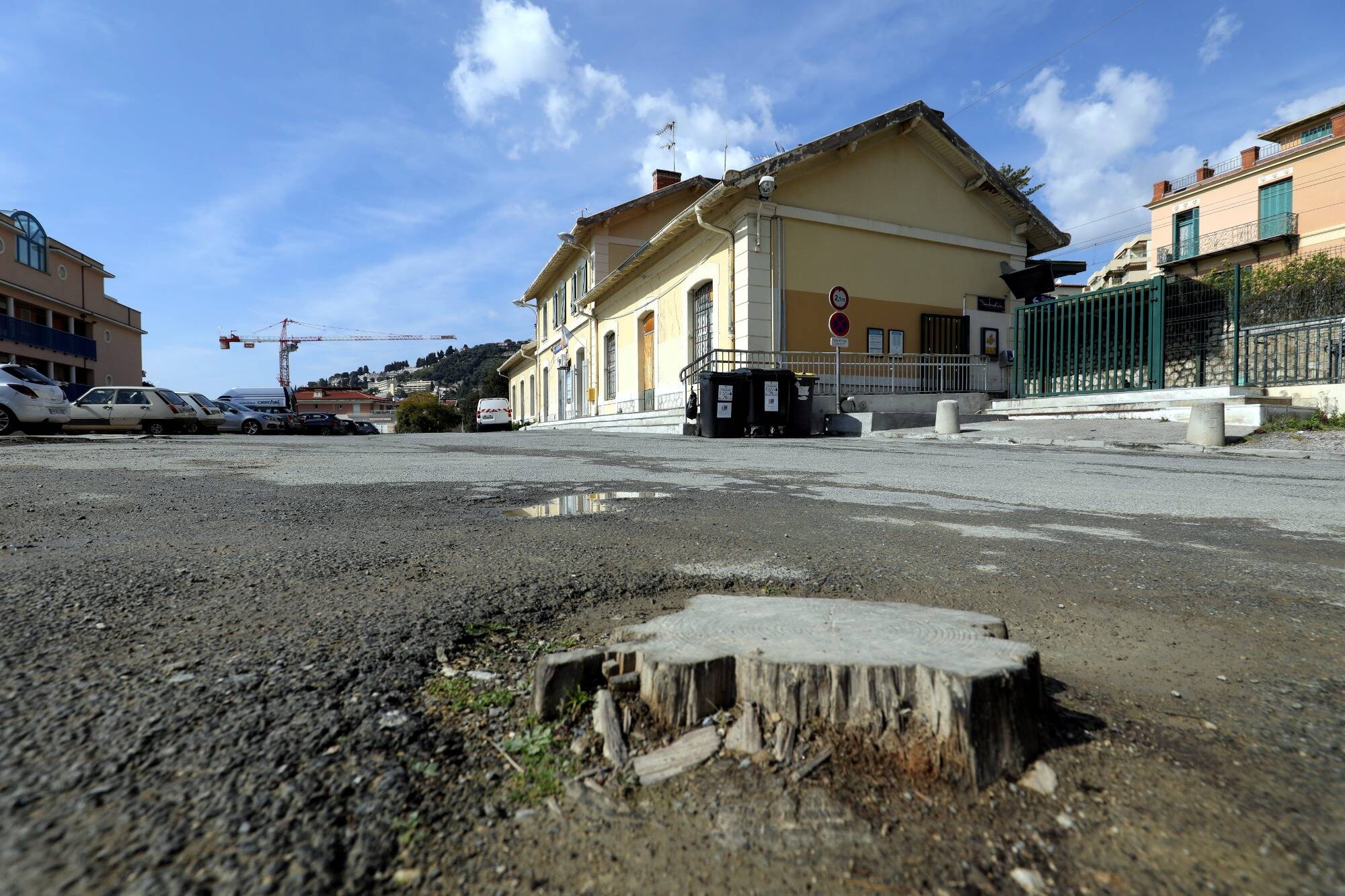 Mais où sont passés les bigaradiers de la gare de Menton?