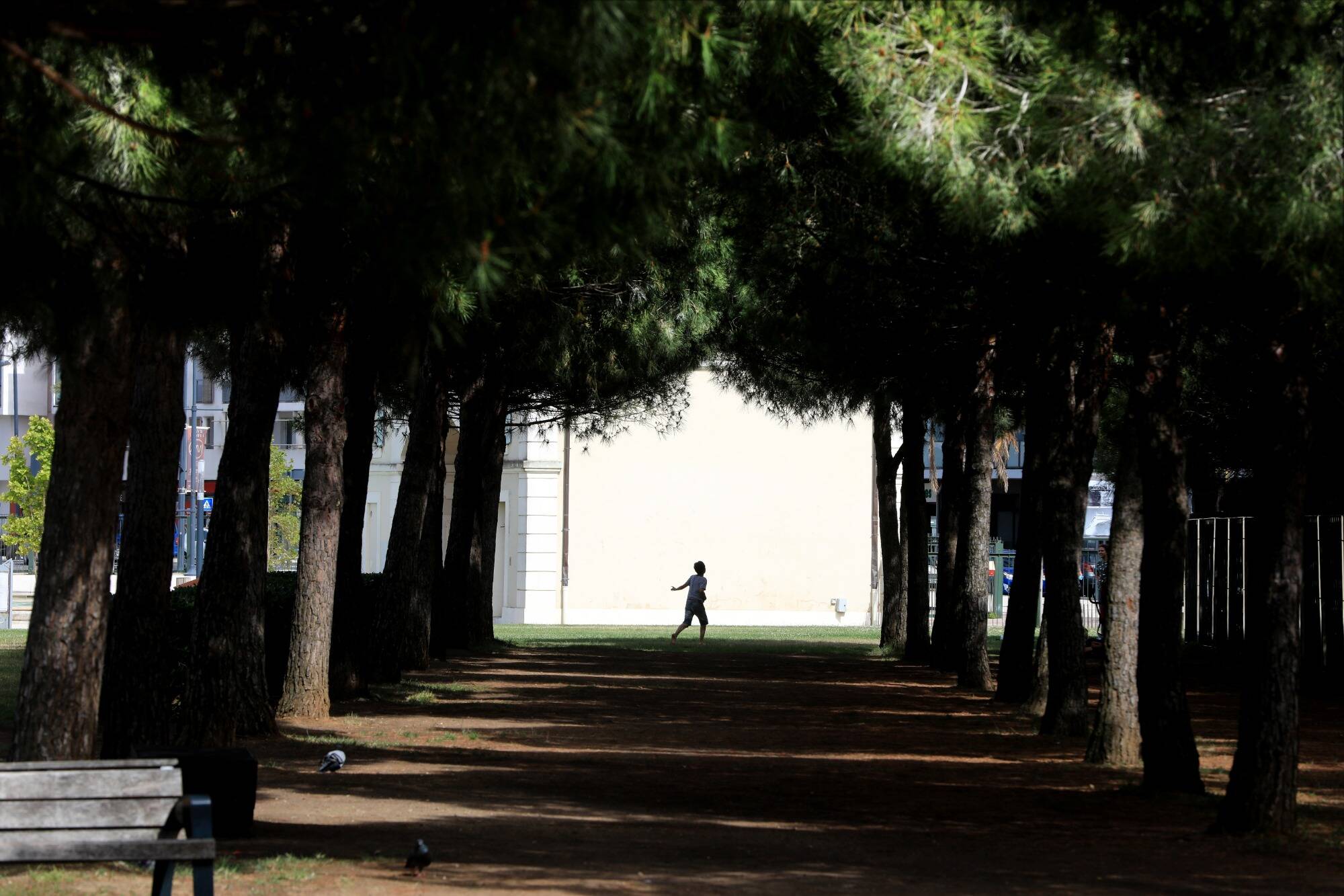 40°C attendus la semaine prochaine en France, ce qu'il faut savoir sur cette nouvelle vague de chaleur