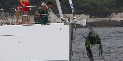 Destruction de posidonie par un yacht à Cannes et Saint-Tropez: une association demande la reconnaissance du préjudice écologique