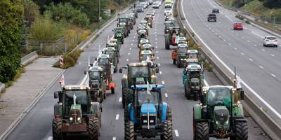 Colère des agriculteurs: femme décédée, détail des actions dans les Alpes-Maritimes et le Var, blocage des grands axes... suivez notre direct