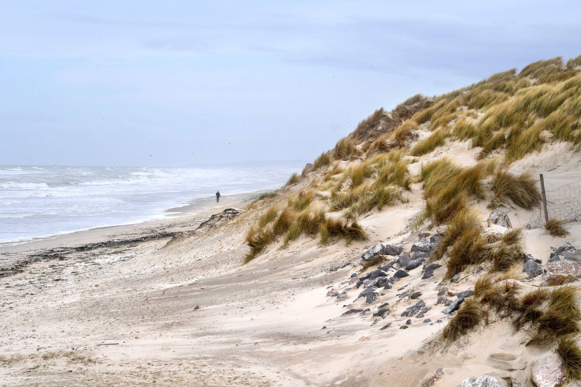Les professionnels sont prêts à redémarrer... Mais les touristes seront-ils de retour cet été sur la Côte d'Azur?