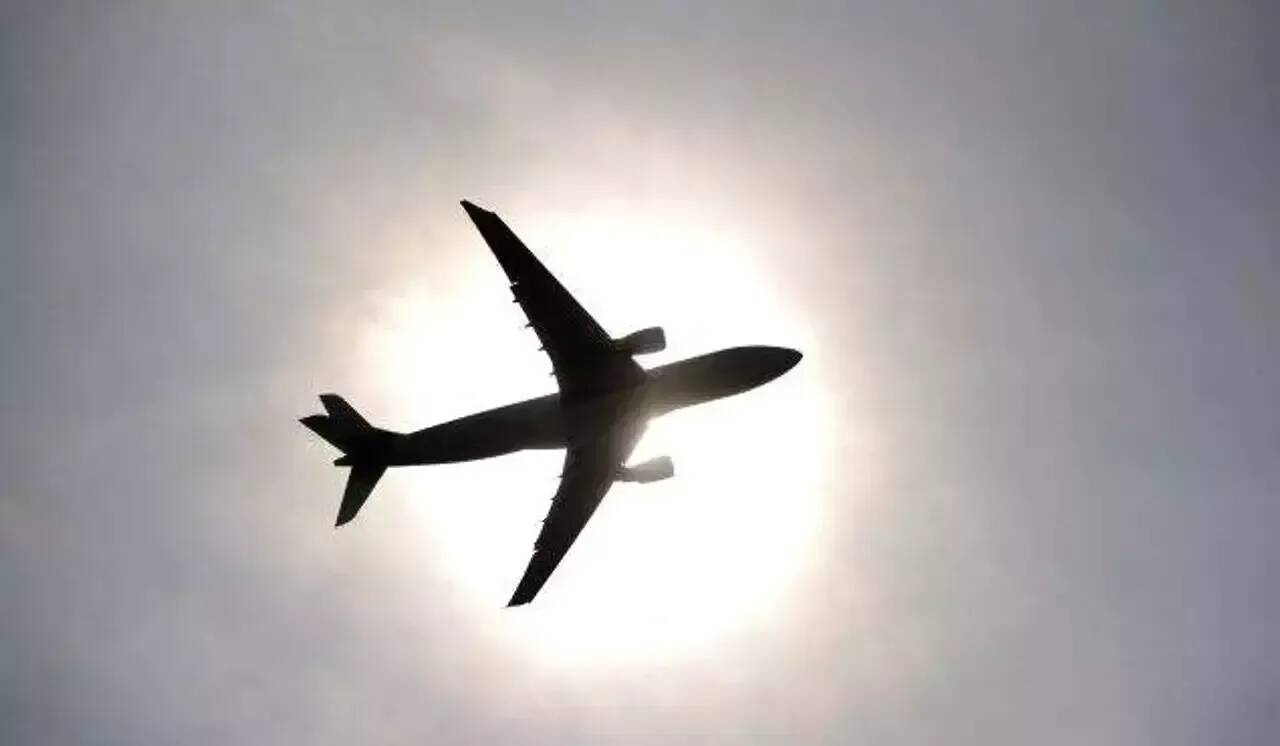 Grosse frayeur dans un avion, un serpent se retrouve dans la cabine et rampe au-dessus de la tête des passagers en plein vol