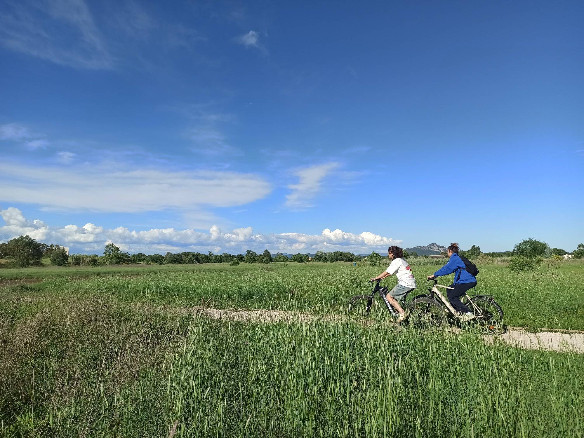 Ce qu'il faut savoir sur le week-end "Faites du vélo" dans la métropole toulonnaise