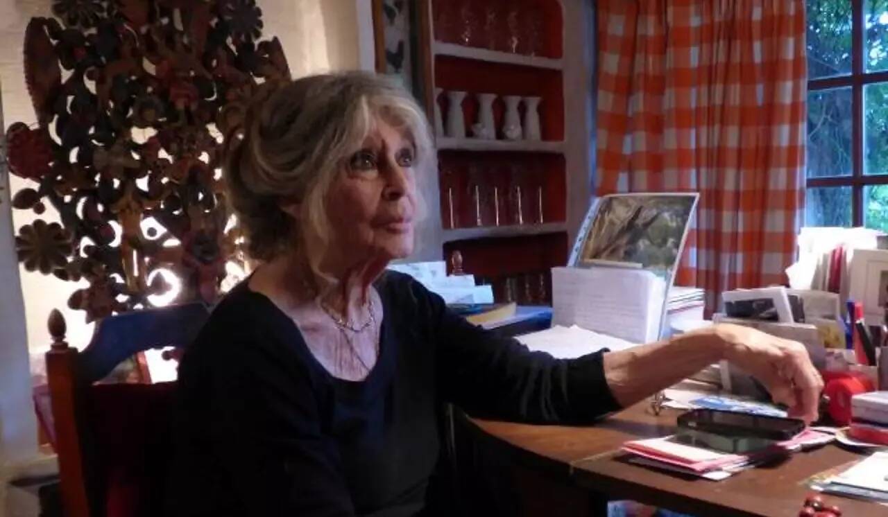 "Le féminisme, c'est pas mon truc. Moi j'aime bien les mecs": Brigitte Bardot prend la défense de Nicolas Bedos et Gérard Depardieu