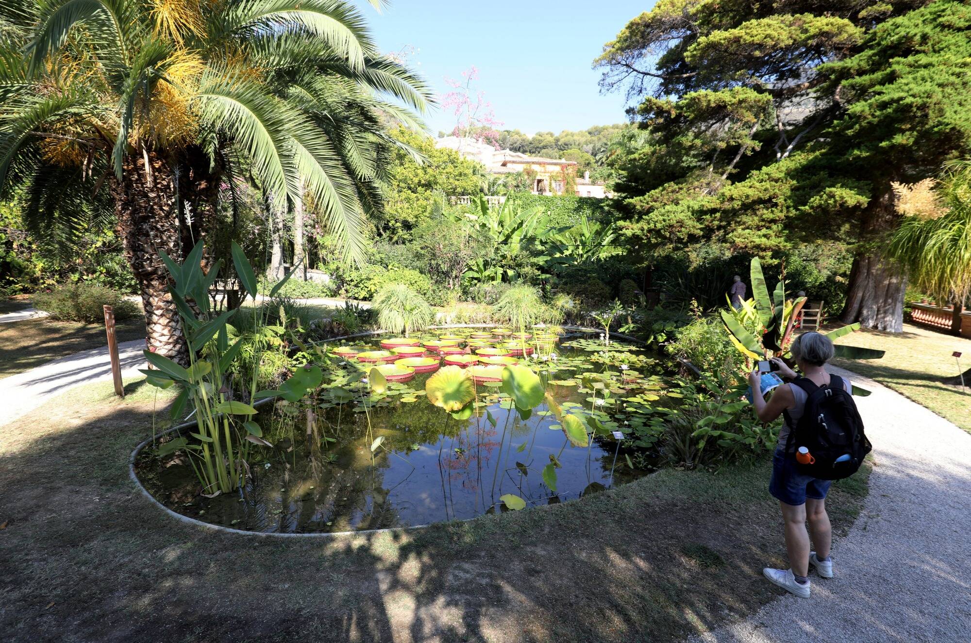 Le luxuriant jardin du Val Rahmeh se dote d'un nouveau bassin à Menton