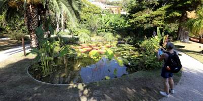Le luxuriant jardin du Val Rahmeh se dote d'un nouveau bassin à Menton