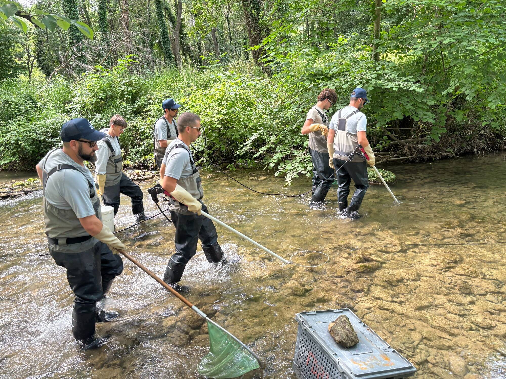 Dans cette rivière de Salernes, les pêcheurs recensent la faune en attirant les poissons avec de... l'électricité