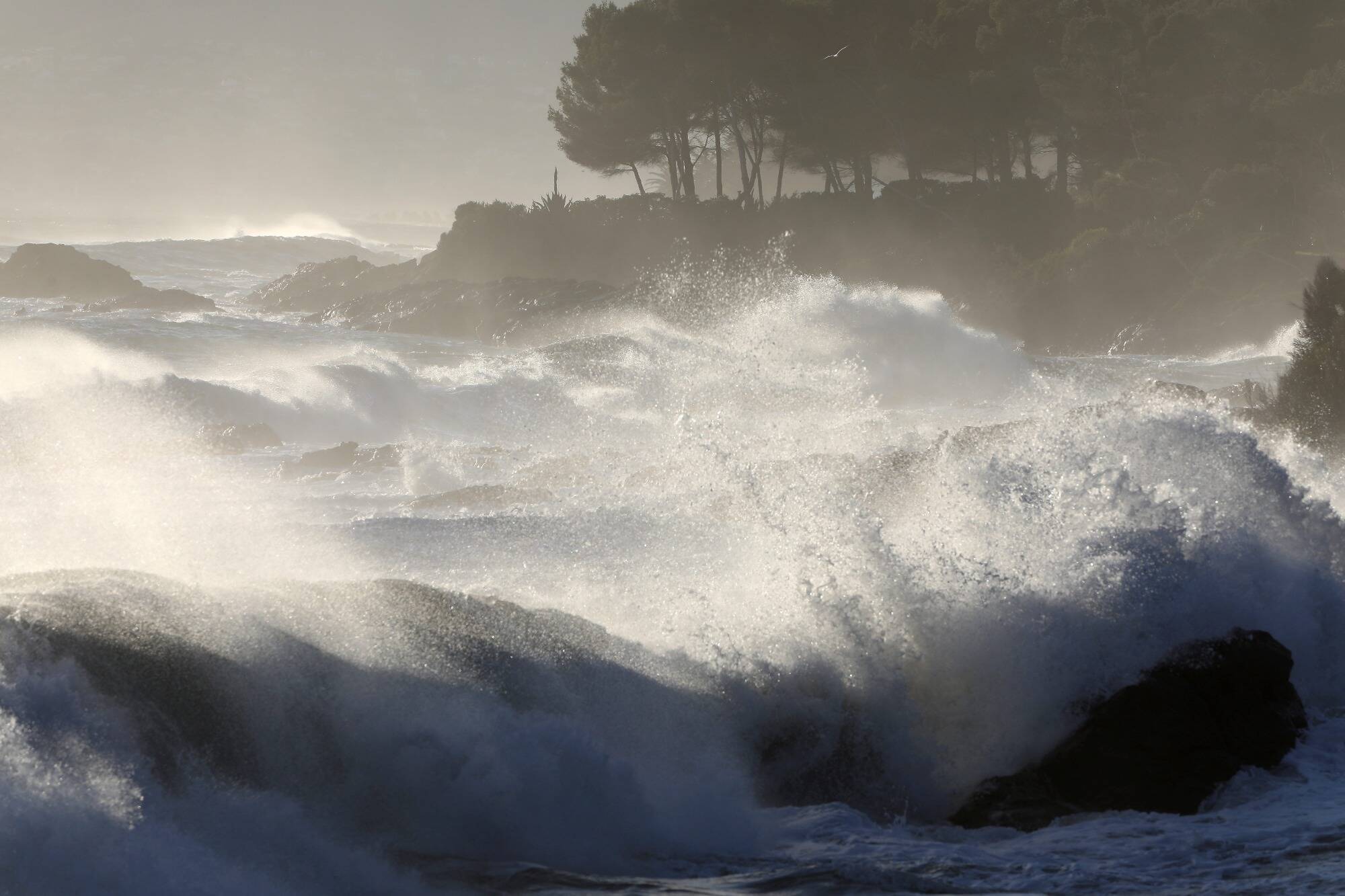 Des rafales à 130 km/h: ce que l'on sait du "coup de tabac" annoncé par Météo France dans le Var et les Alpes-Maritimes