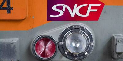 500 emplois supprimés, 24 flux de transport de marchandises abandonnés... les syndicats cheminots haussent le ton au sujet de la liquidation de Fret SNCF