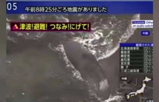 Alerte tsunami dans le Pacifique: après le séisme, quatre baleines retrouvées échouées sur les plages japonaises ce mercredi