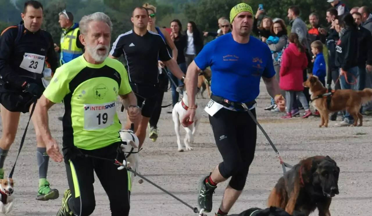 Tout ce qu'il faut savoir sur le premier canicross de Sospel qui aura lieu en mai