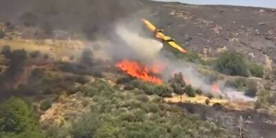 Incendies en Grèce: un avion bombardier d'eau s'est écrasé en luttant contre les flammes