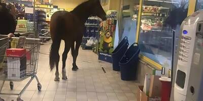 Un cheval rentre dans un supermarché et ressort par les caisses en Sardaigne