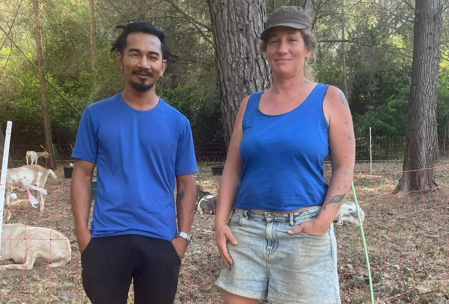 Comment les chèvres de cette association participent aussi à la lutte contre les feux dans le Var