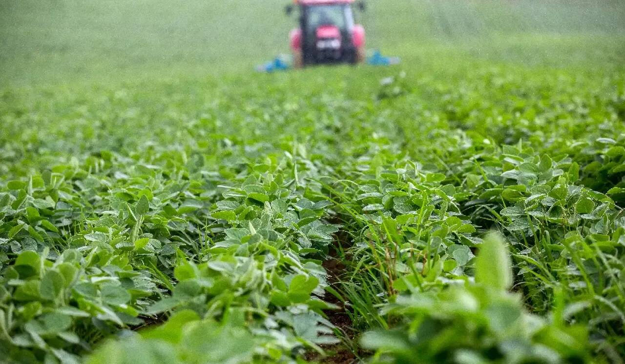 Le maire d'une commune rurale visé par des tirs de fusil alors qu'il travaillait dans son champ