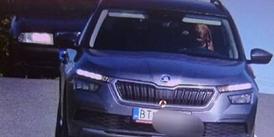 Un chien filmé par des caméras de surveillance au volant d'un véhicule verbalisé pour excès de vitesse en Slovaquie