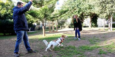Nice conserve sa deuxième place au classement français des villes où il fait bon vivre avec son chien