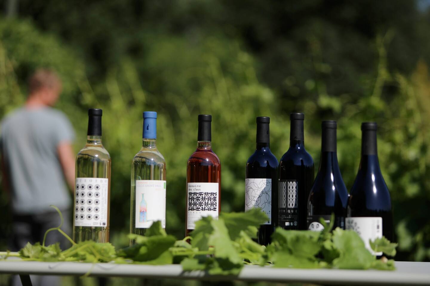 Blanc, rosé, rouge... ce petit domaine en biodynamie produit sept vins avec une identité marquée. 