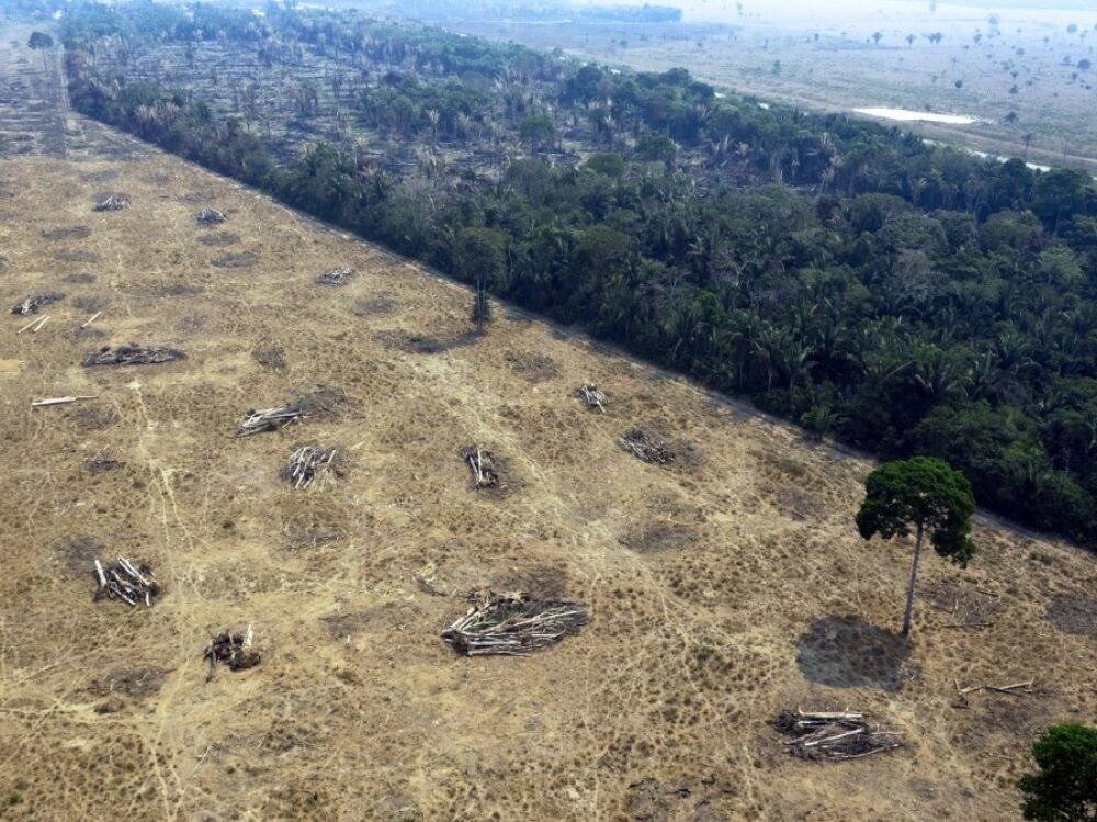 Guerre en Ukraine: des terres agricoles inexploitables pendant des années, selon le CICR