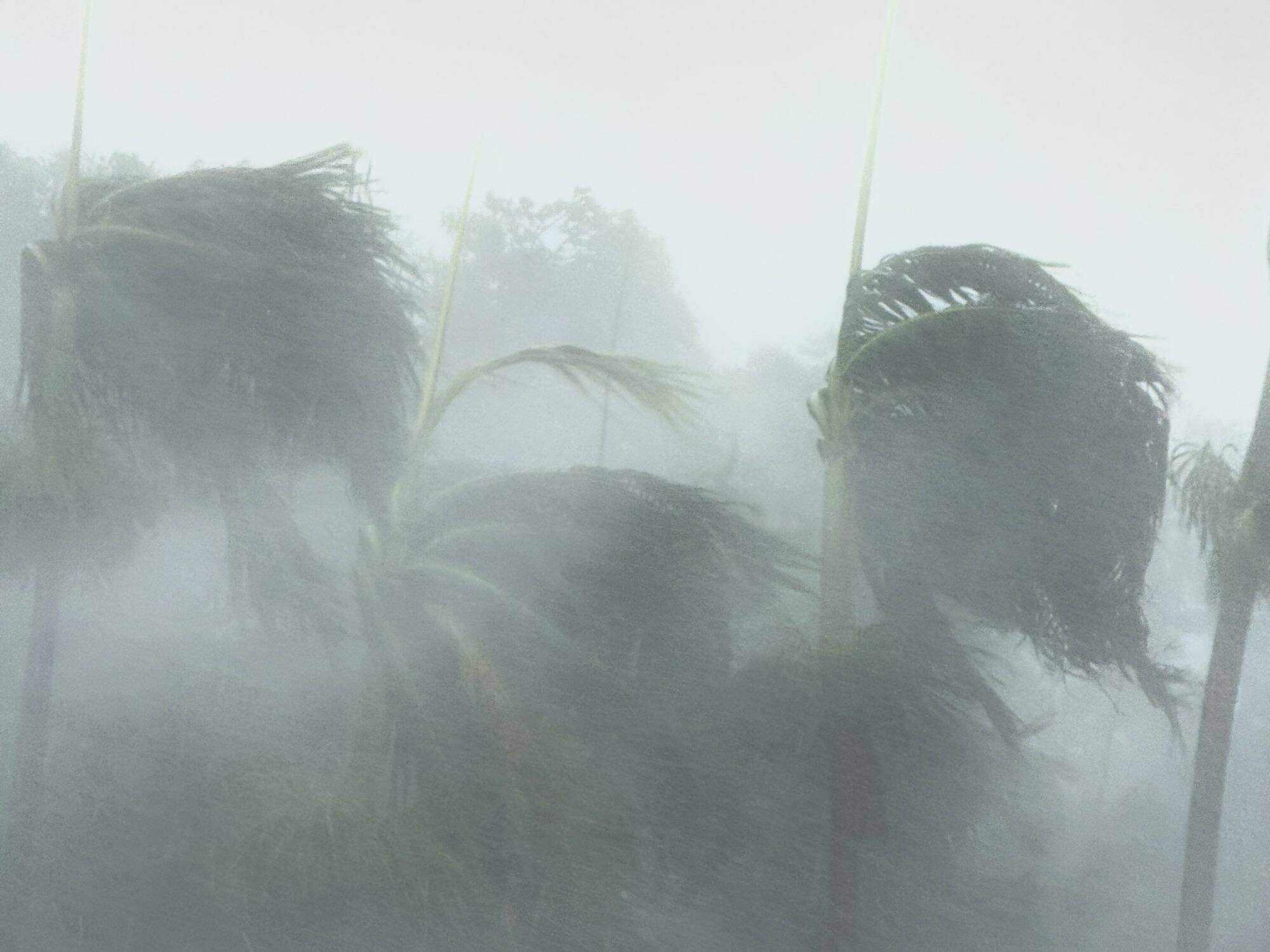 Le cyclone Belal menace l'île Maurice ce mardi, un mort à La Réunion ...
