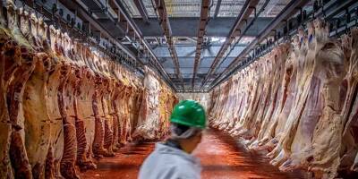 Poney dans l'assiette et faux certificats: un trafic européen de viande de cheval jugé à Marseille