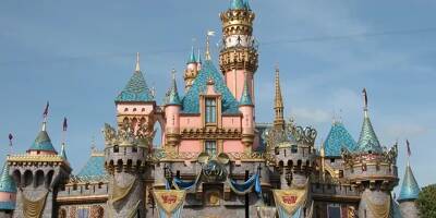 Un employé de Disneyland Paris gâche une demande en mariage