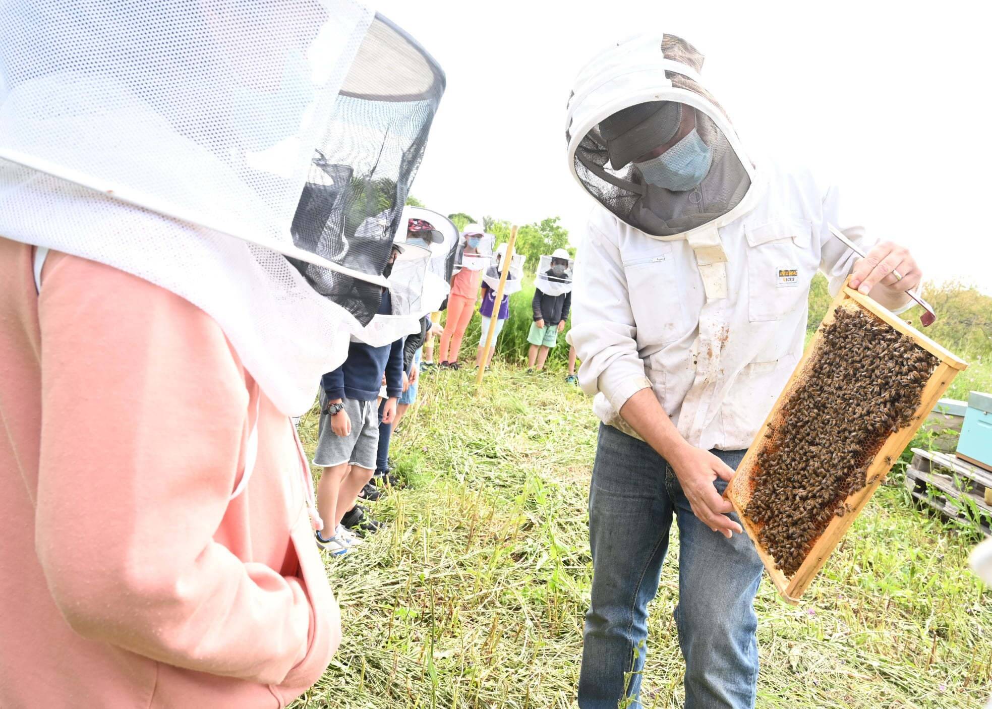 Ateliers, ciné-débat, rencontres... Ce qui vous attend pour la semaine des abeilles à La Garde