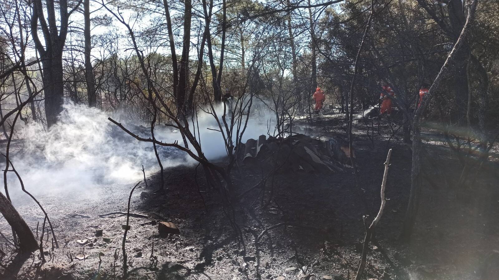 Les massifs de l'Esterel et du Tanneron sont fermés ce mardi 3 août pour "risque très sévère" de feux de forêts