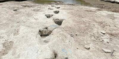 Des traces de dinosaures apparaissent dans le lit d'une rivière asséchée au Texas