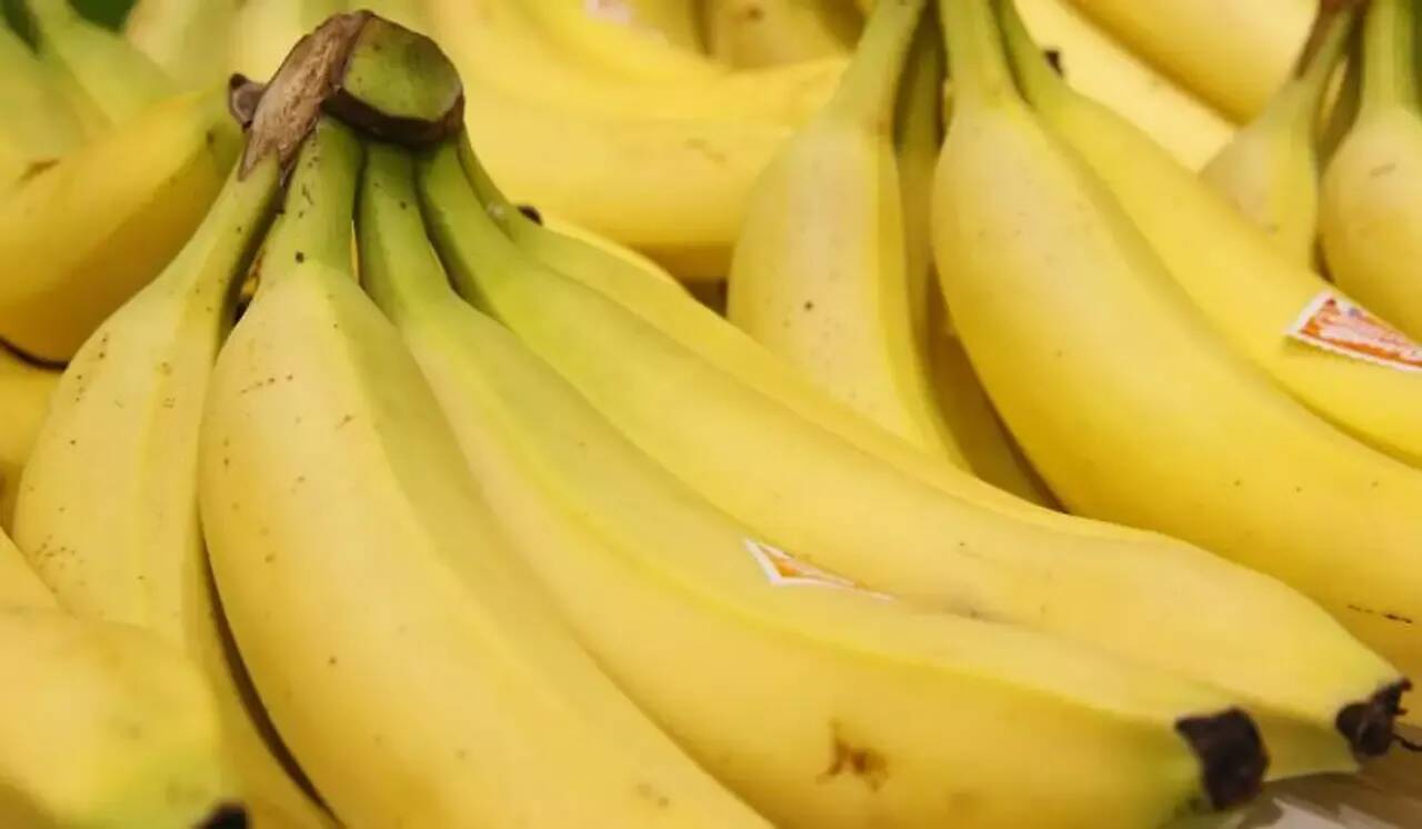 Des "araignées banane" retrouvées au milieu de fruits dans un supermarché, grosse frayeur pour les clients