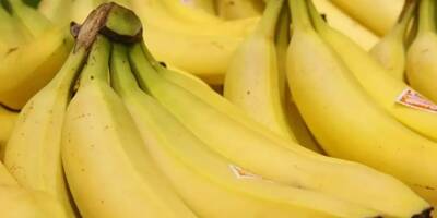On vous explique pourquoi le prix des bananes pourrait bientôt bondir