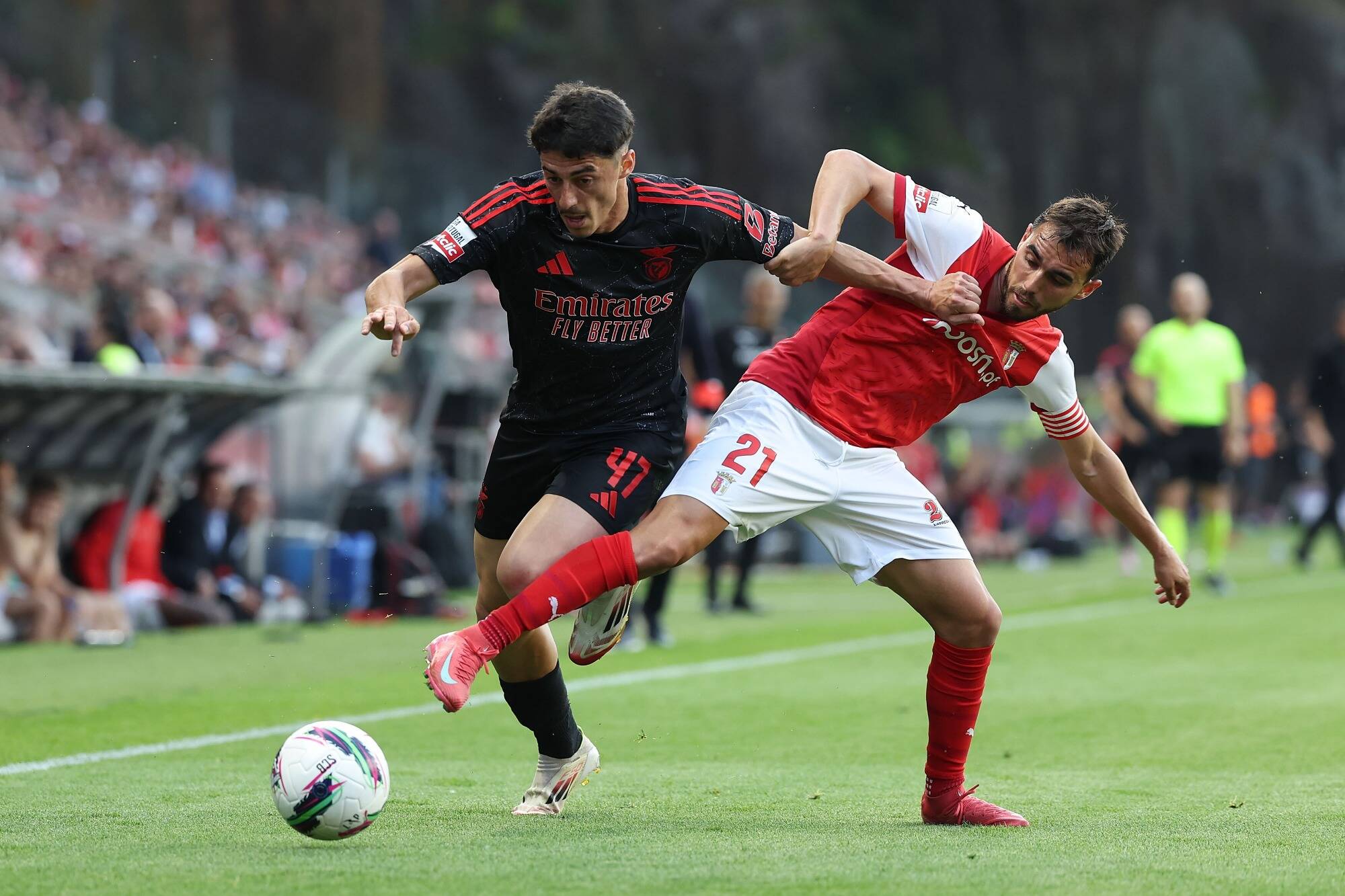 L'OGC Nice veut se faire prêter le joueur du Benfica Lisbonne Tiago Gouveia