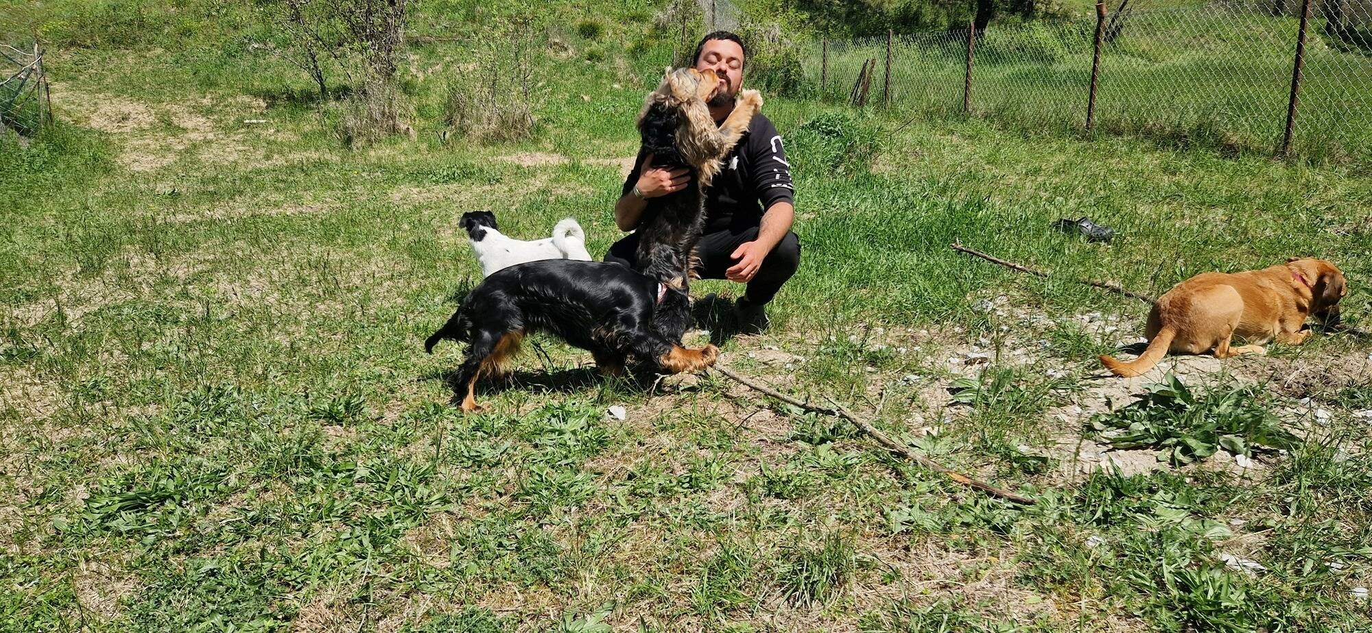 "Balades, jeux, caresses, sociabilisation...": ils ouvrent un centre aéré exclusivement réservé aux chiens dans l'arrière-pays niçois