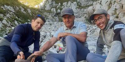 Une équipe de sauveteurs parvient à sauver un bouquetin avec un crampon d'alpinisme coincé dans la mâchoire