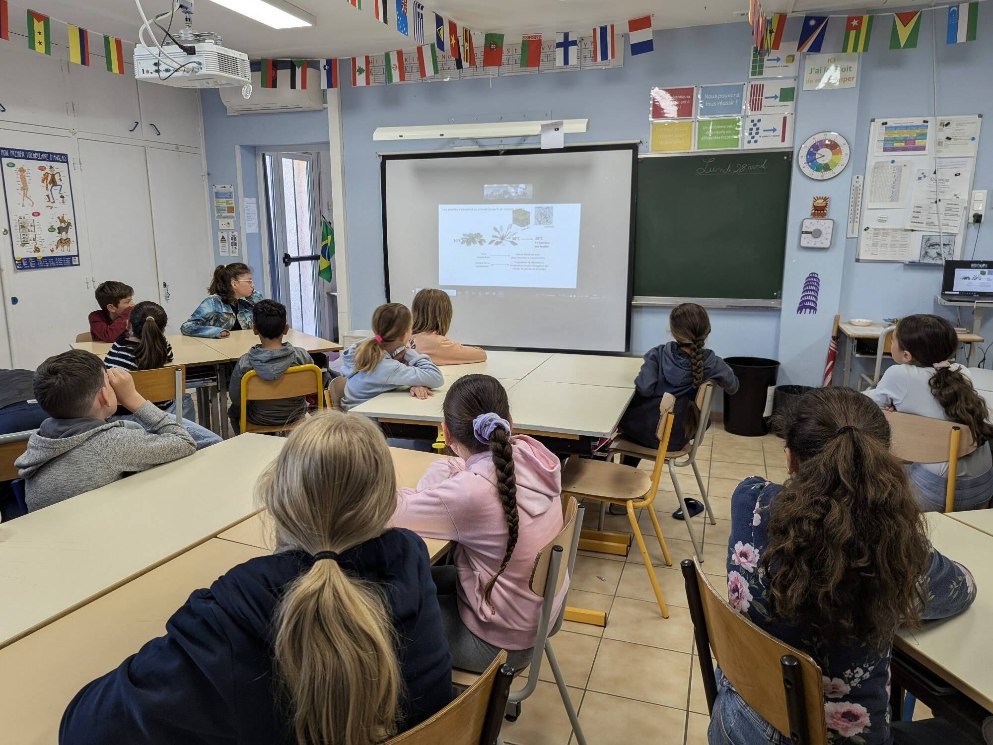 Dans le cadre du projet collaboratif européen eTwinning et avec l'intervention de scientifiques, les écoliers de Montauroux étudient les plantes