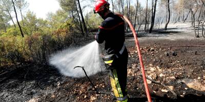 Quatre hectares de forêt ravagés, enquête ouverte pour en déterminer l'origine: le point sur l'incendie du Castellet