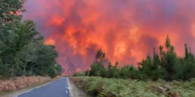 Le feu reprend près de Landiras en Gironde: 1.000 hectares de pins brûlés, 3.500 personnes évacuées