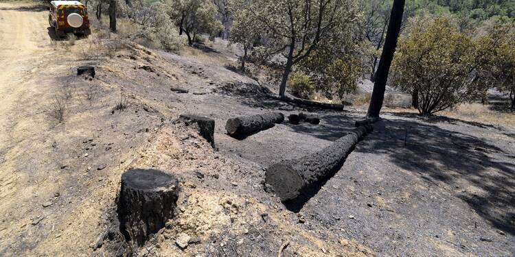 Des travaux de débroussaillage sont-ils à l'origine du feu de Vidauban, qui a parcouru 600 hectares?