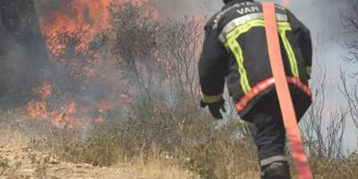 Un feu de végétation maîtrisé à Grimaud, une quinzaine de sapeurs-pompiers engagés