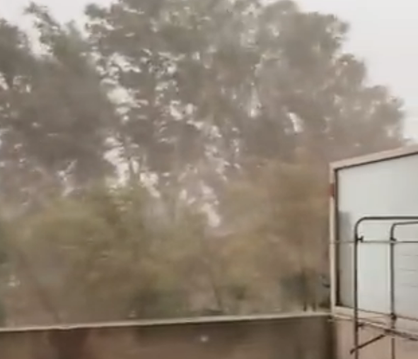 "C'est l'apocalypse": une rafale de vent à plus de 220 km/h enregistrée en Corse