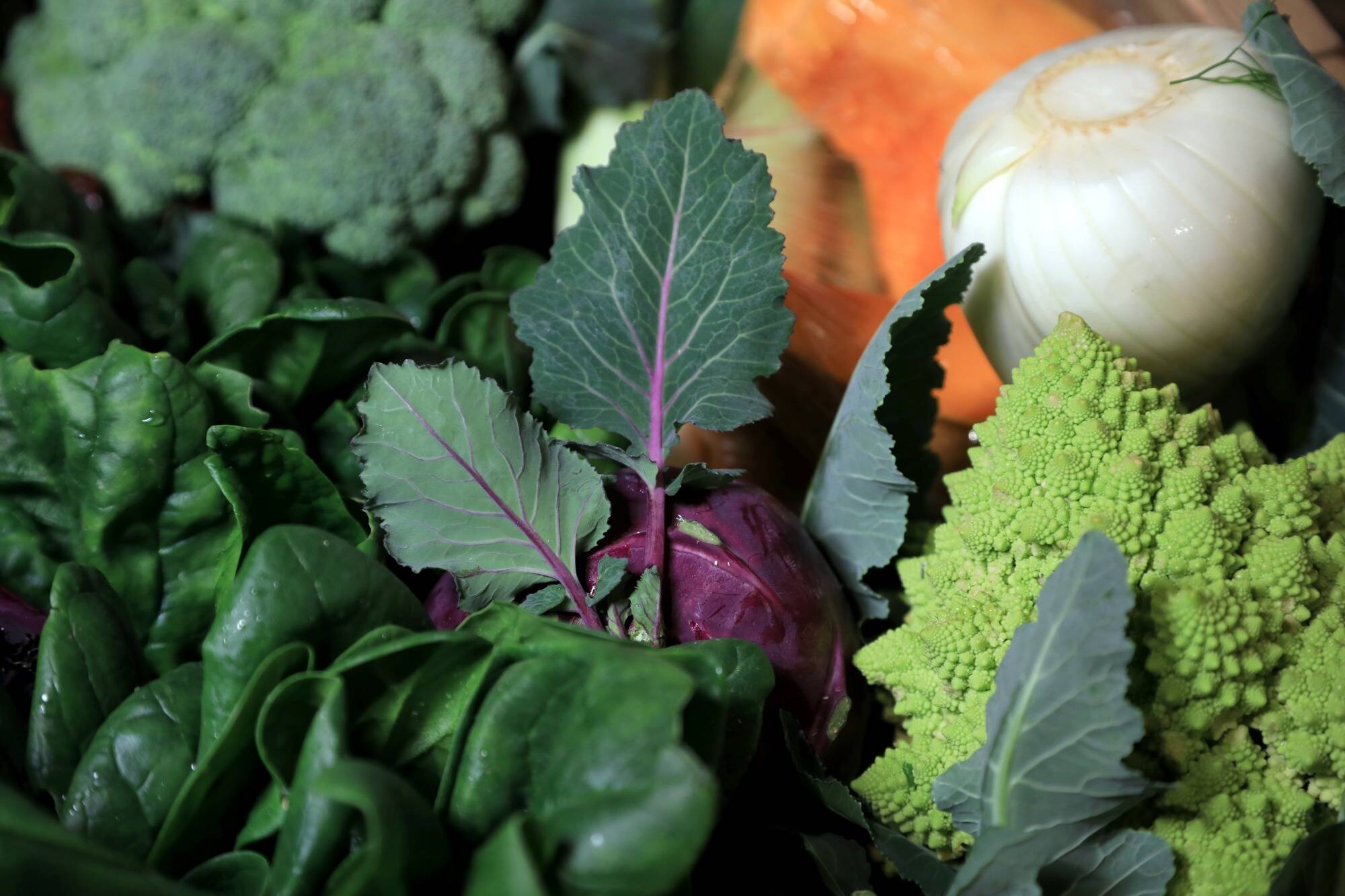 Insécurité alimentaire en Paca: "Une des régions françaises où l'on a le moins de surfaces agricoles disponibles par habitant", alerte un expert