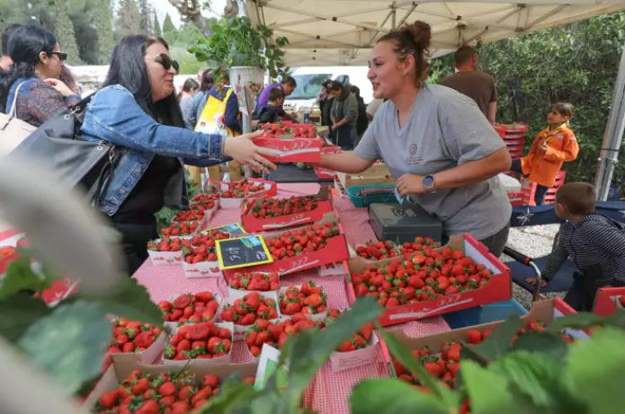 Découvrez le programme de la Fête des fraises à Carros ce week-end