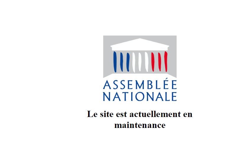 Le site Internet de l'Assemblée nationale visé par une cyberattaque de hackers russes