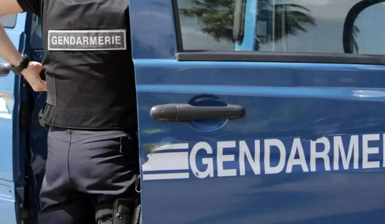 Un enfant de neuf ans mordu à mort par le chien de la famille dans le Loiret