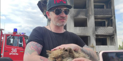 Un chat sauvé miraculeusement dans les décombres d'un immeuble bombardé en Ukraine