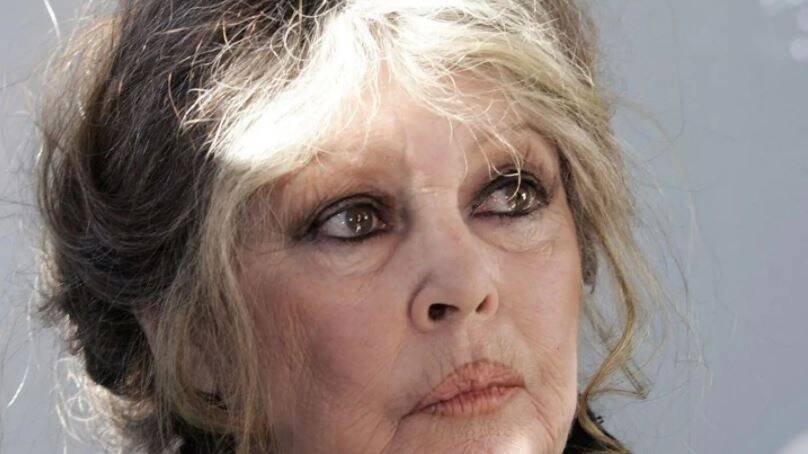 "Il est tombé dans un piège": Brigitte Bardot s'indigne après l'arrestation de Paul Watson et dénonce une "chasse à l'homme"