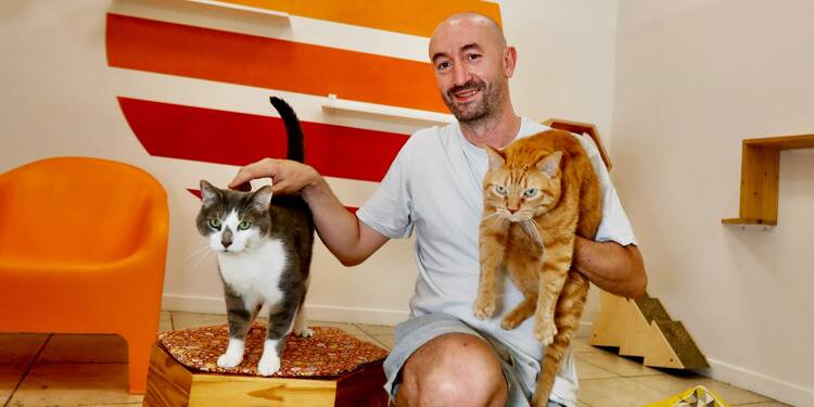 Les banques n’ont jamais cru au projet: un hôtel haut de gamme pour chats reçoit un prix dans le Var