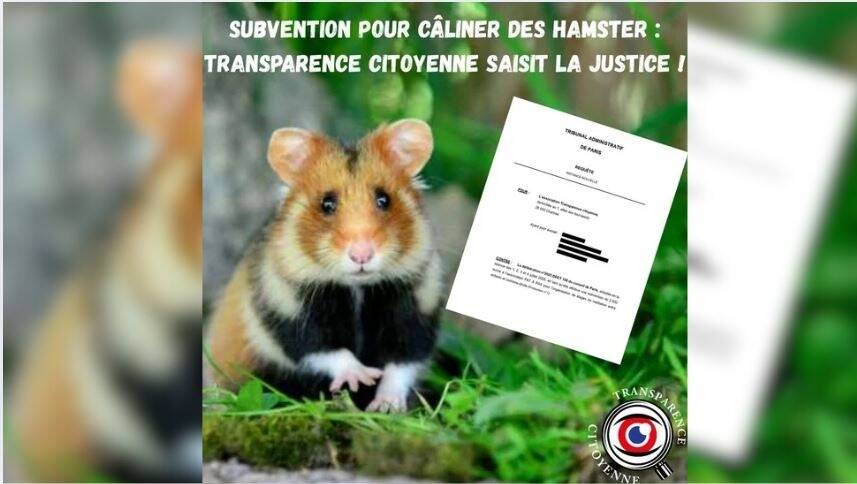 La ville de Paris subventionne des câlins aux hamsters: Transparence Citoyenne attaque en justice